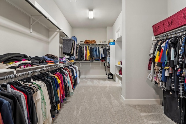 walk in closet with light carpet