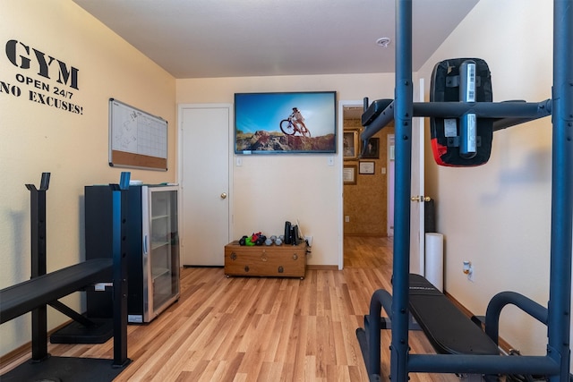 exercise room featuring light hardwood / wood-style floors