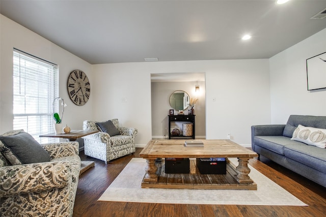 living room with dark wood-type flooring