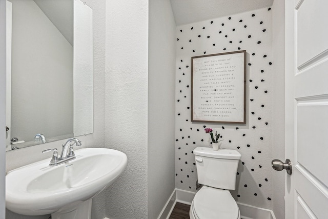 bathroom with wood-type flooring, sink, and toilet