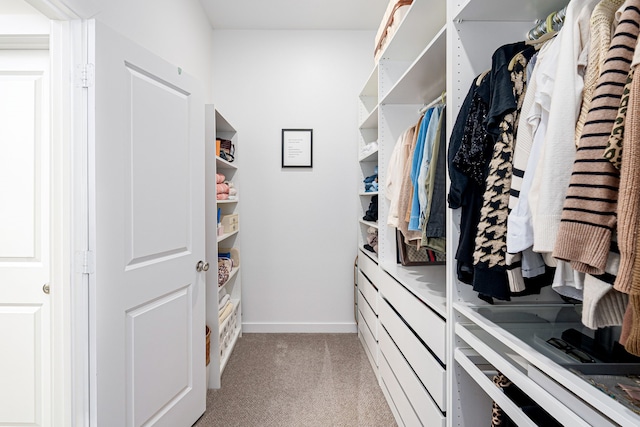 walk in closet featuring light carpet