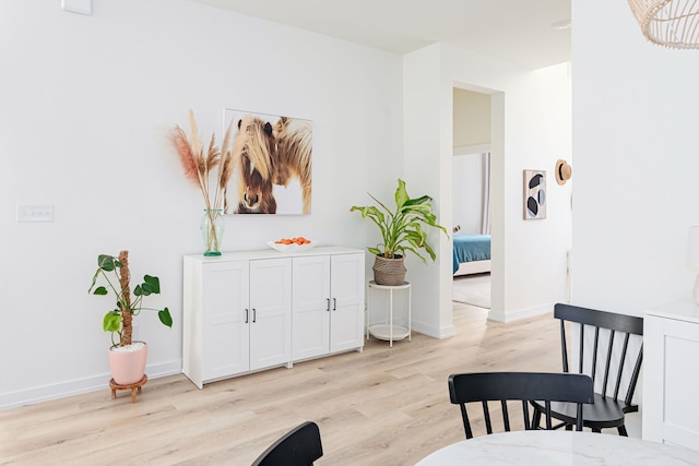 sitting room featuring light hardwood / wood-style flooring