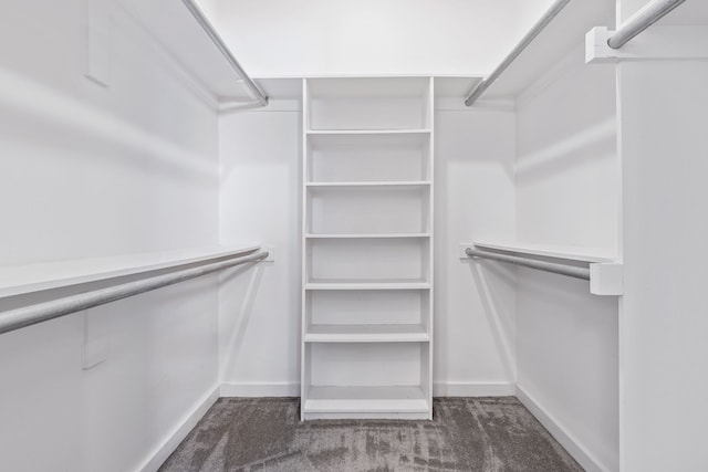 spacious closet with dark colored carpet