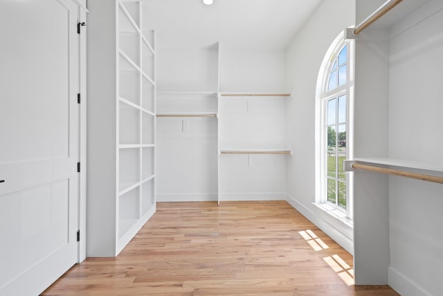 walk in closet with light hardwood / wood-style flooring