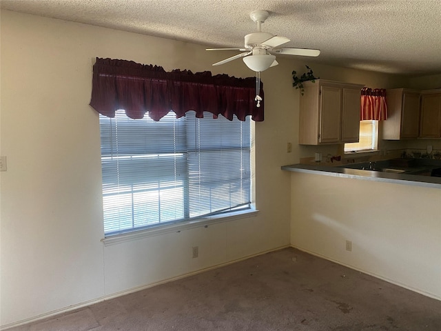 kitchen featuring a textured ceiling, light carpet, and ceiling fan