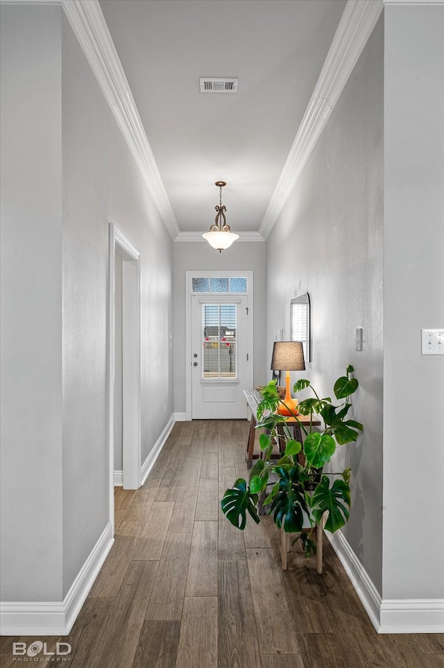 hallway featuring ornamental molding and dark hardwood / wood-style floors