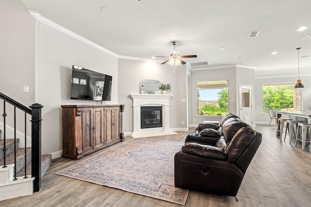 living room with crown molding, ceiling fan, and light hardwood / wood-style flooring