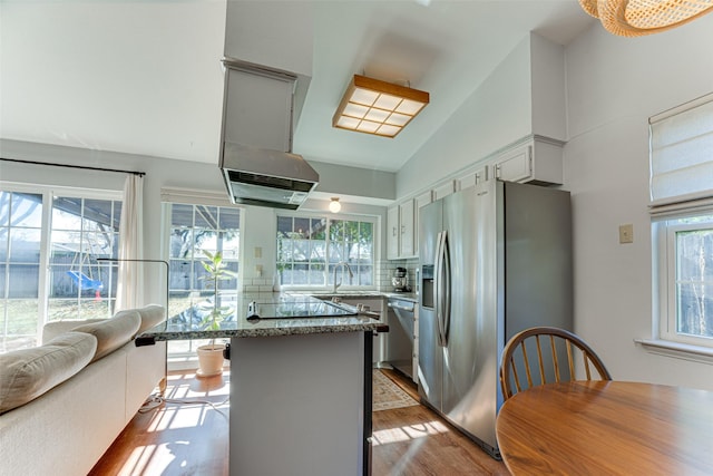 kitchen featuring stainless steel appliances, light hardwood / wood-style floors, and a healthy amount of sunlight