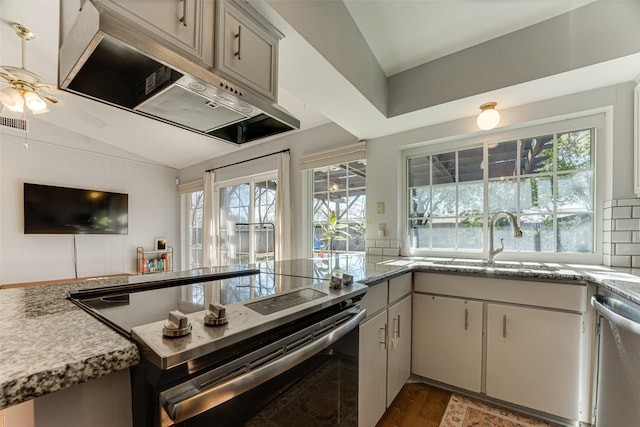 kitchen with appliances with stainless steel finishes, dark hardwood / wood-style flooring, sink, and a wealth of natural light