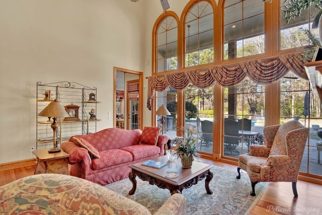 living room with a high ceiling and hardwood / wood-style floors