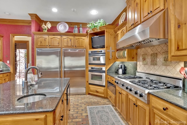 kitchen with dark stone countertops, appliances with stainless steel finishes, ventilation hood, sink, and tasteful backsplash