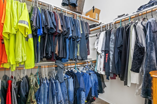 walk in closet with carpet flooring