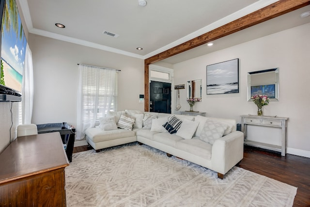 living room with crown molding, a wealth of natural light, and hardwood / wood-style floors