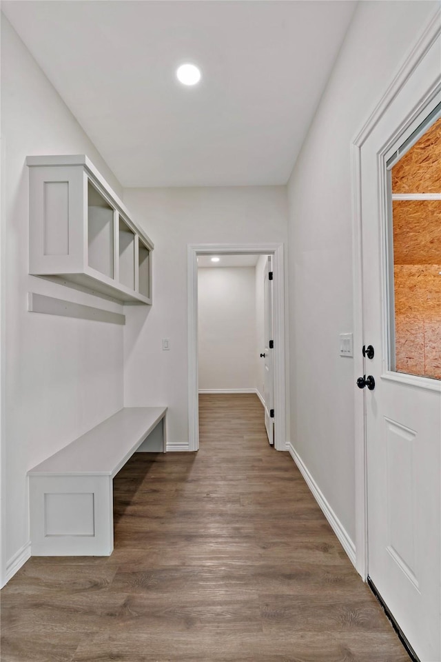 mudroom with dark hardwood / wood-style flooring