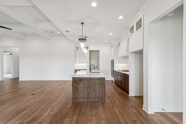 kitchen with stainless steel appliances, premium range hood, open floor plan, light countertops, and dark wood-style floors