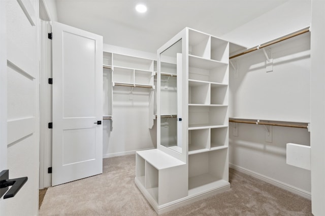 spacious closet with carpet flooring