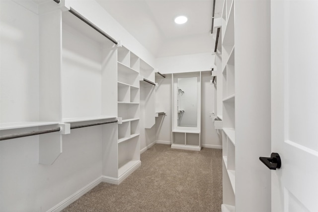 spacious closet with light carpet