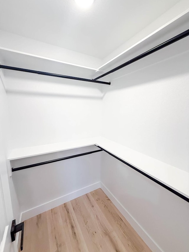 spacious closet with light wood-type flooring