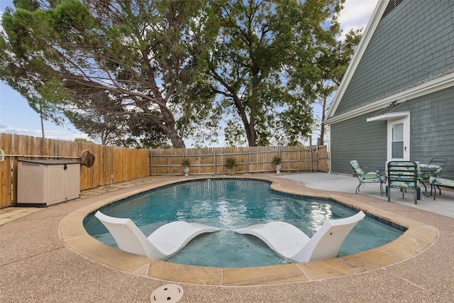 view of swimming pool with a patio area