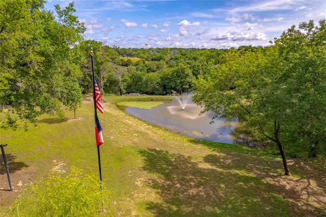 117 Post Oak Ct, Willow Park, TX 76087 - aerial view of a forest