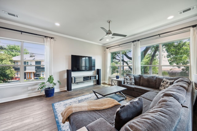 living room with ceiling fan, hardwood / wood-style floors, a wealth of natural light, and crown molding