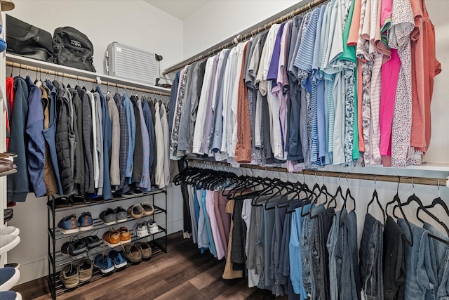 spacious closet featuring dark hardwood / wood-style floors