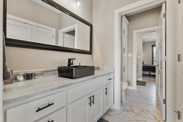 bathroom with toilet and vanity