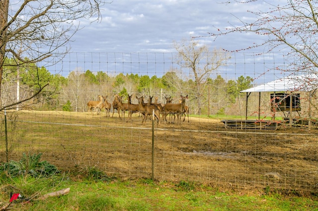 view of yard featuring a rural view