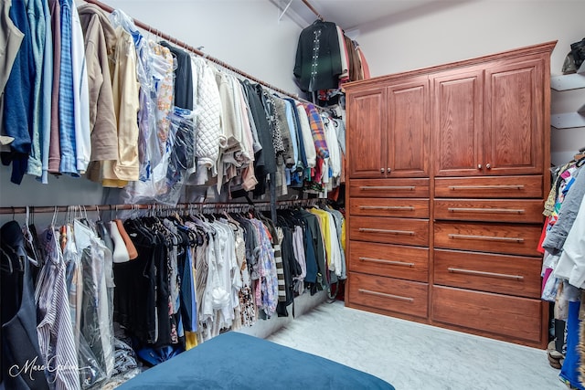 view of spacious closet