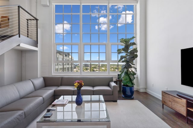 living room featuring hardwood / wood-style floors