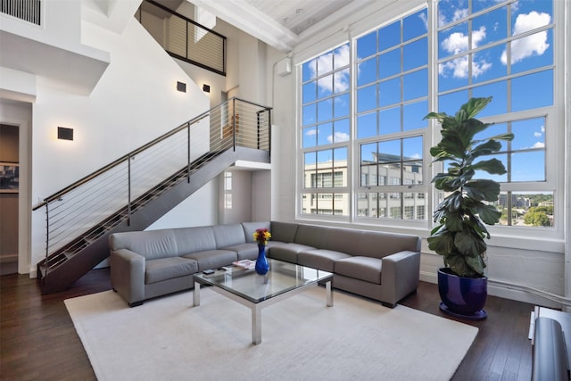 living room featuring a towering ceiling and hardwood / wood-style flooring