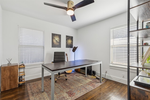 office space with ceiling fan and dark hardwood / wood-style flooring