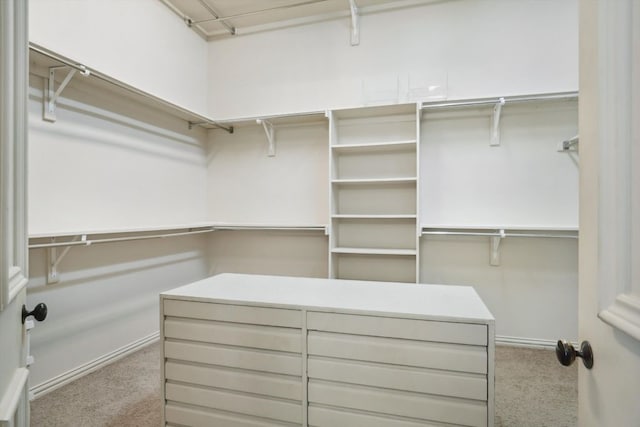 spacious closet featuring light carpet