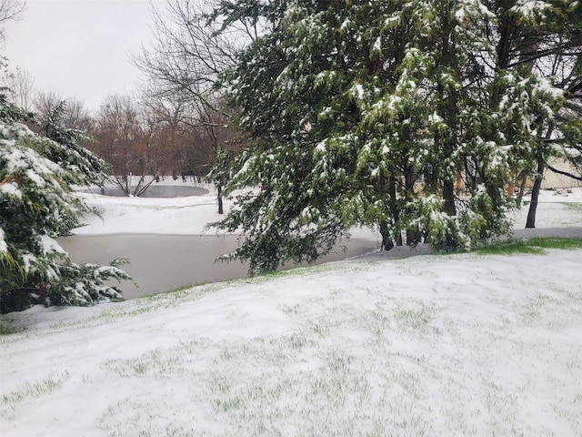 view of yard covered in snow