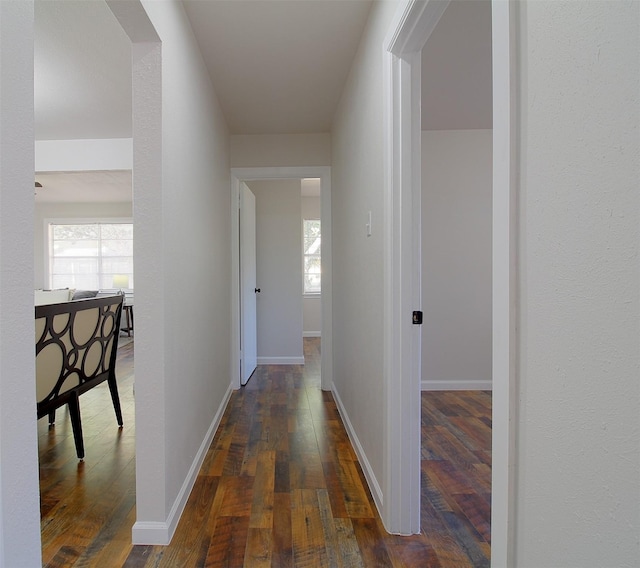 hall with dark wood-type flooring