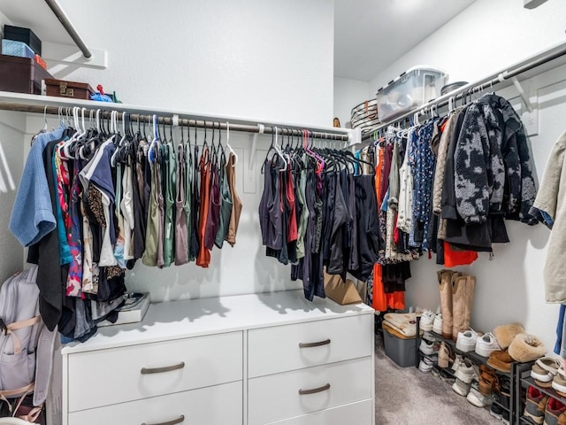 walk in closet featuring carpet flooring