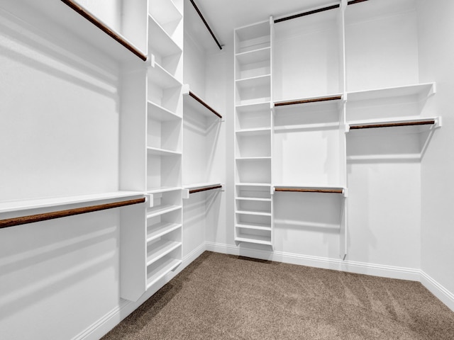 walk in closet featuring carpet flooring