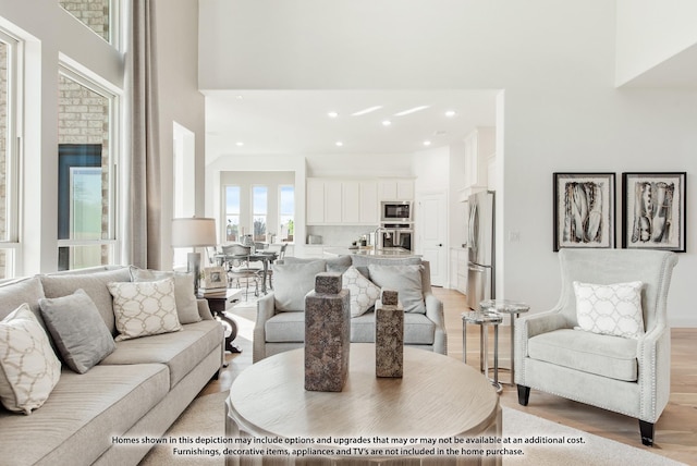 living room featuring light hardwood / wood-style flooring and a towering ceiling