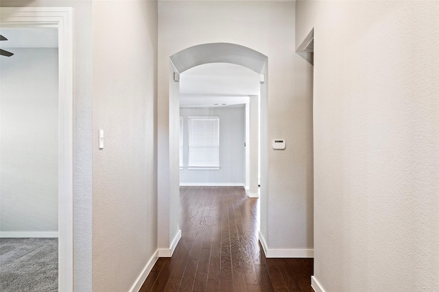 corridor with dark hardwood / wood-style floors