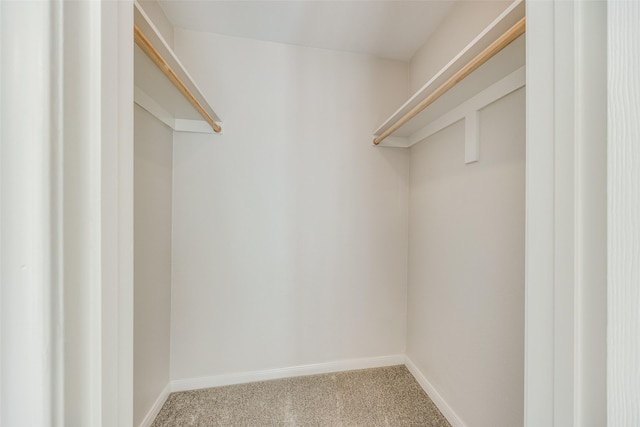 spacious closet featuring carpet