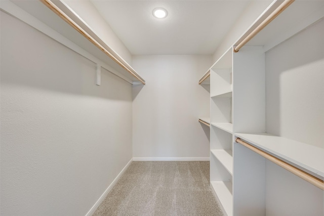 spacious closet featuring light carpet