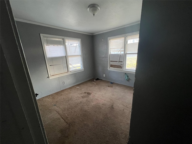 carpeted empty room featuring ornamental molding