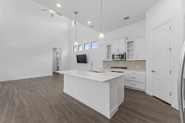 kitchen with appliances with stainless steel finishes, white cabinets, a kitchen island with sink, and sink