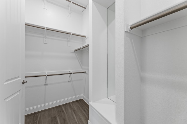 spacious closet featuring dark hardwood / wood-style flooring