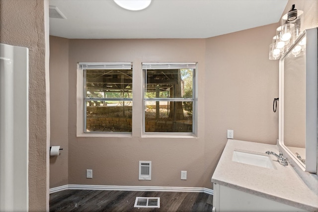 bathroom featuring wood-type flooring and vanity