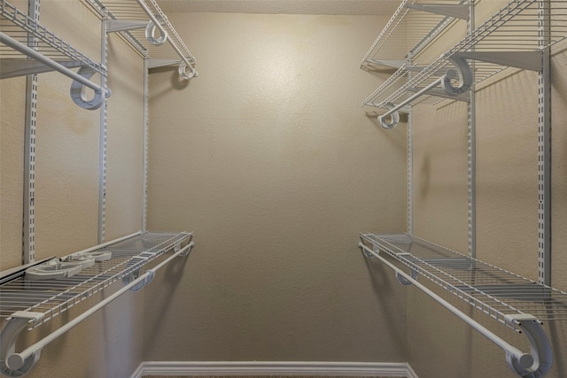 view of walk in closet