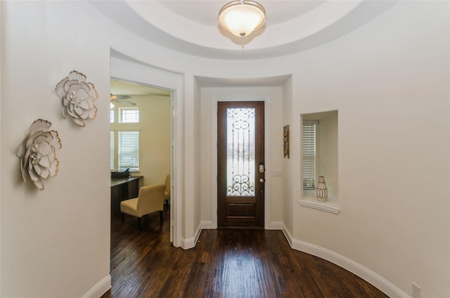 foyer entrance featuring dark wood-type flooring