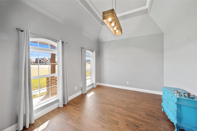 interior space featuring vaulted ceiling, hardwood / wood-style flooring, and a healthy amount of sunlight