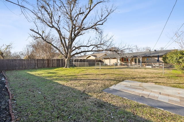 view of yard featuring a patio