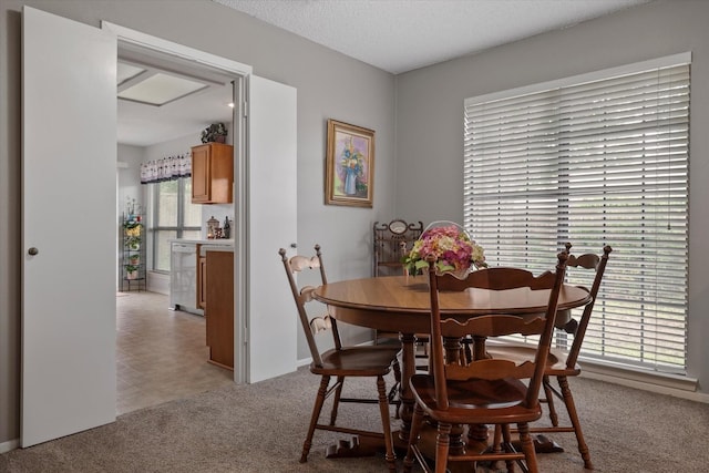 dining space featuring a healthy amount of sunlight and light colored carpet